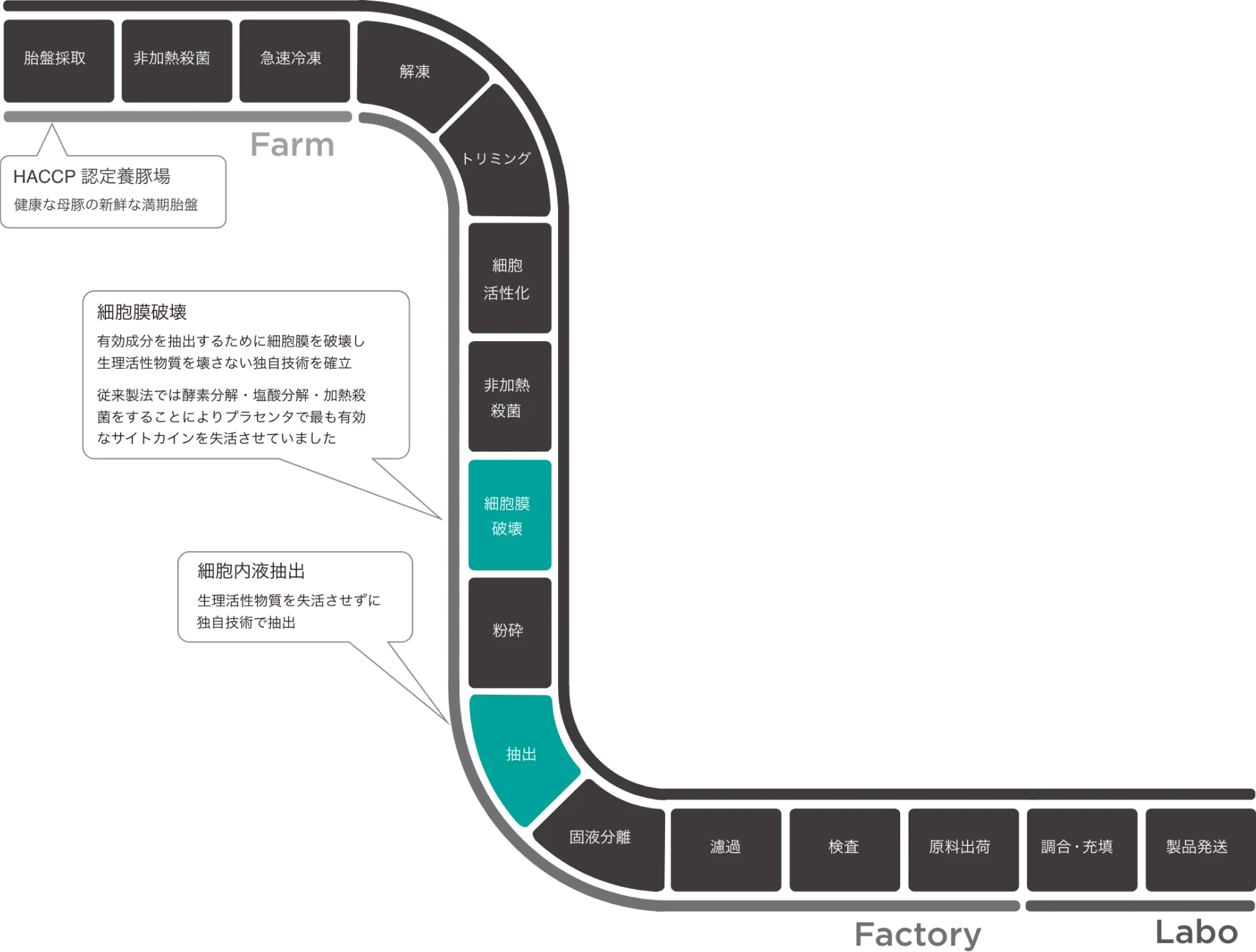 ソウルシグナル