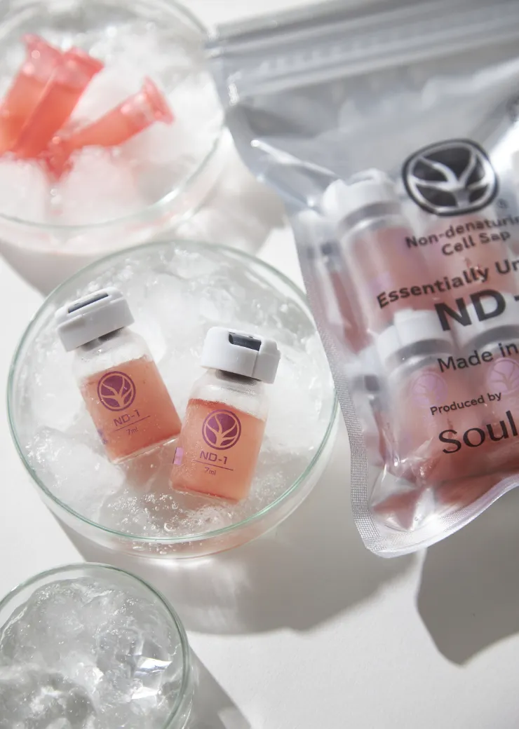 ソウルシグナル